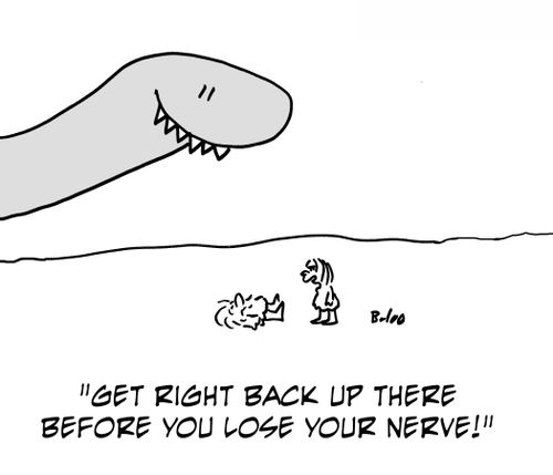 'Get right back up there before you lose your nerve!'