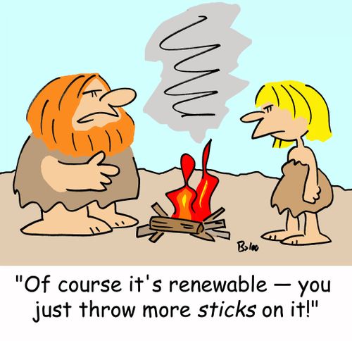 'Of course it's renewable -- you just throw more sticks on it!'