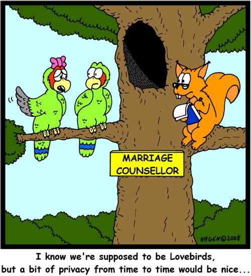 'I know we're supposed to be Lovebirds, but a bit of privacy from time to time would be nice...'