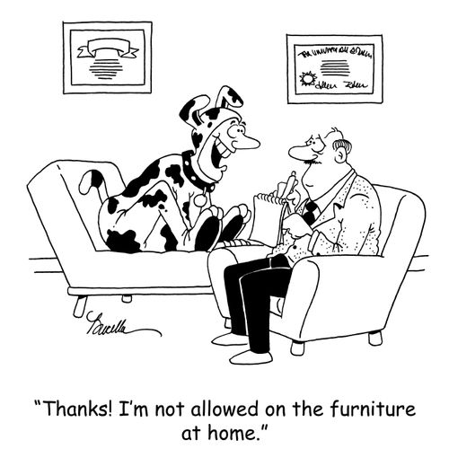 Thanks! I'm not allowed on the furniture at home.'