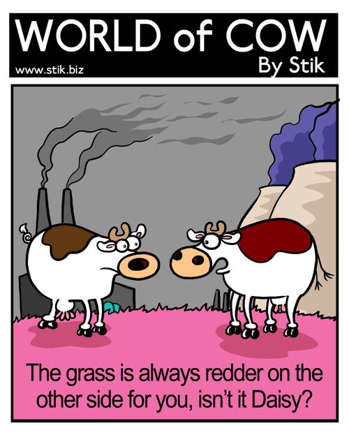 The grass is always redder on the other side for you, isn't it Daisy?
