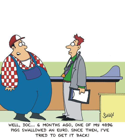 'Well, doc... 6 months ago, one of my 4896 pigs swallowed an Euro. Since then, I've tried to get it back!'