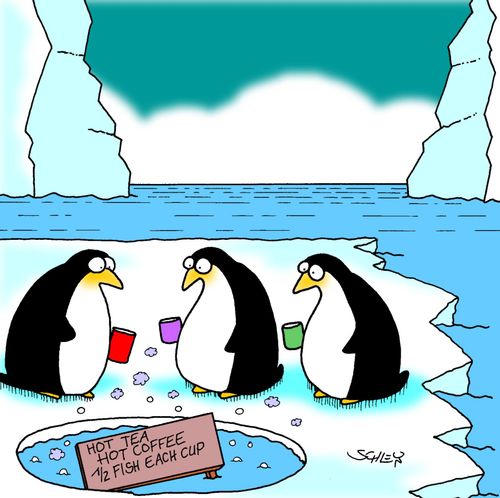 Penguins at the Watering Hole.