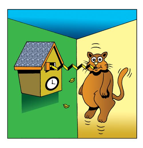 Cuckoo clock gotcha.