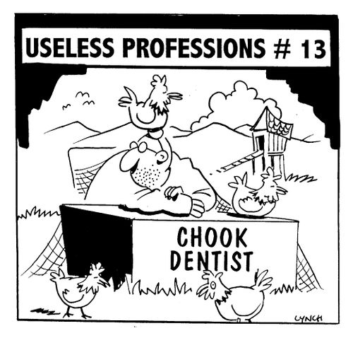 Chook Dentist