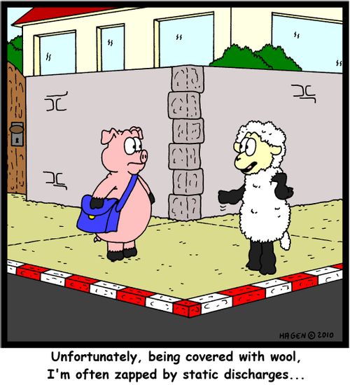 'Unfortunately, being covered with wool, I'm often zapped by static discharges...'