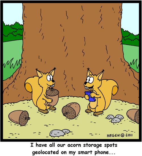 'I have all our acorn storage spots geolocated on my smart phone...'