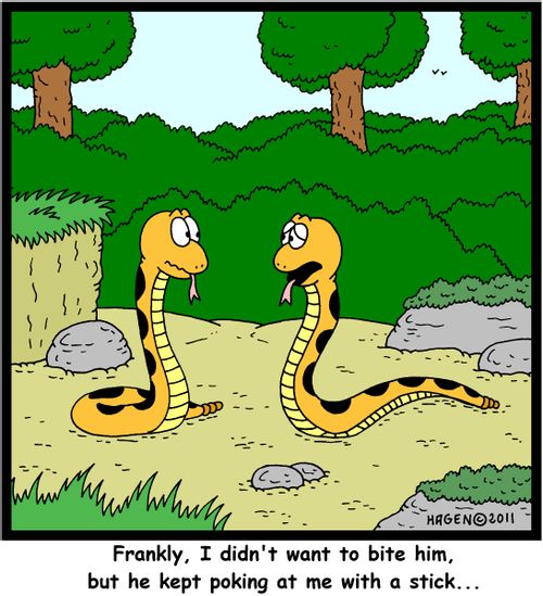 'Frankly, I didn't want to bite him, but he kept poking at me with a stick...'