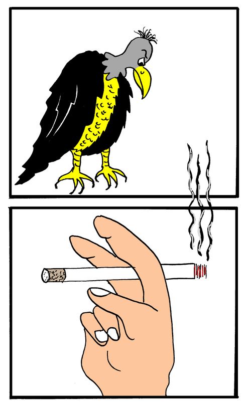 Vultures Over Smoking.