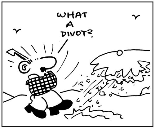 'What a divot?'