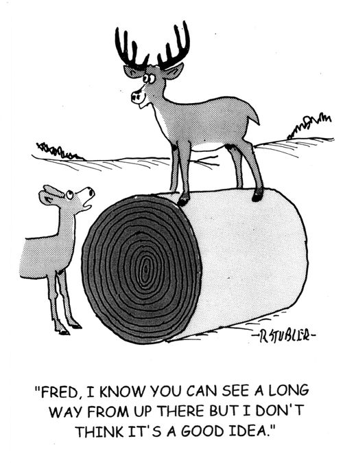 'Fred,I know you can see a long way from up there but I don't think it is a good idea.'