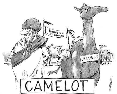 'Camelot' Hakeem's used camel lot.
