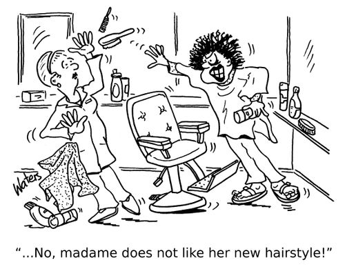 '...No, madame does not like her new hairstyle!'