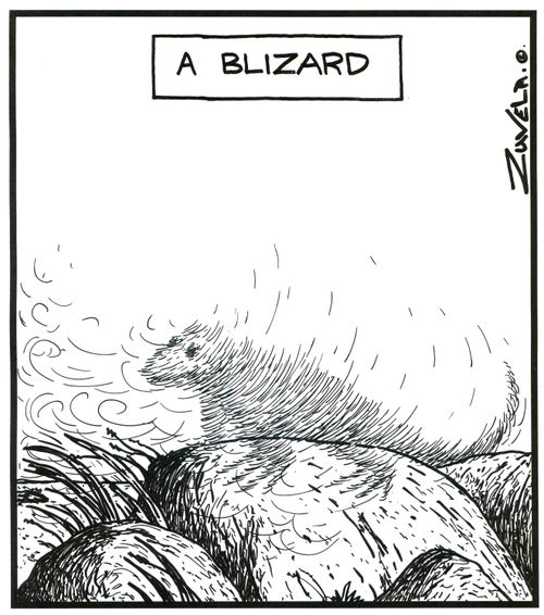 A Blizard (a blizzard in the form of a lizard).