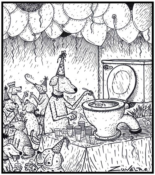 A dog party using toilet water and a toilet as their version of a Punchbowl.