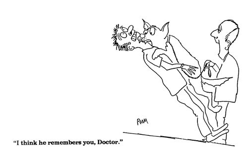 'I think he remembers you, Doctor.'