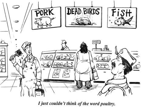 'I just couldn't think of the word poultry.'