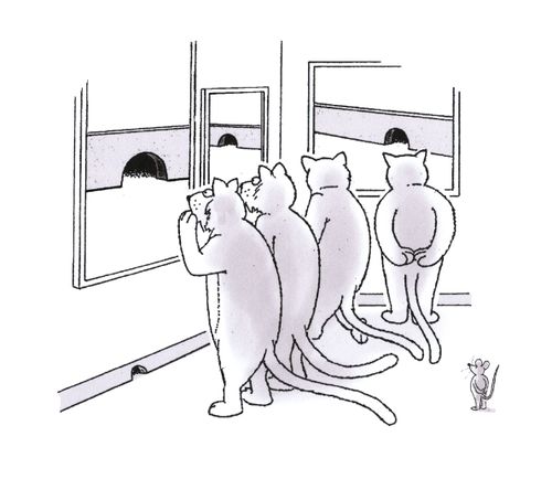 Animal art.