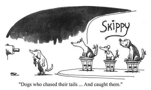 'Dogs who chased their tails...And caught them.'