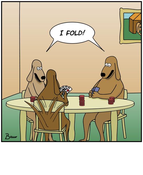 'I fold!'
