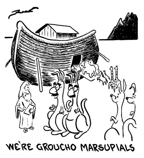 "We're groucho marsupials."