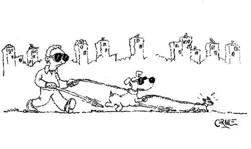 Walking in the Park
