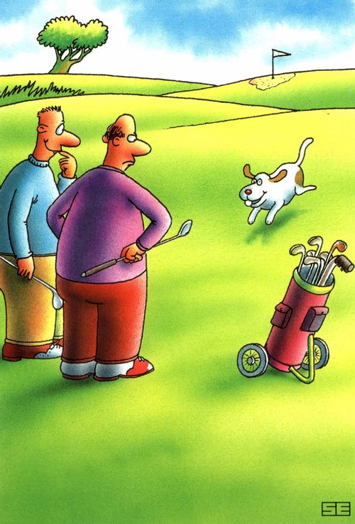 Dog fetching golf ball (Colour)