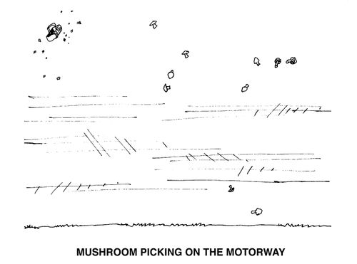 Mushroom picking on the motorway