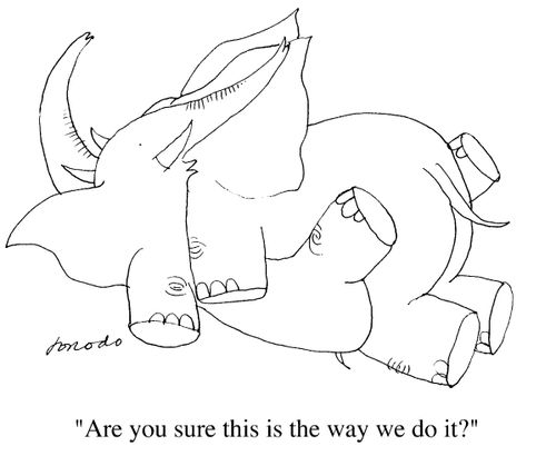 'Are you sure this is the way we do it'