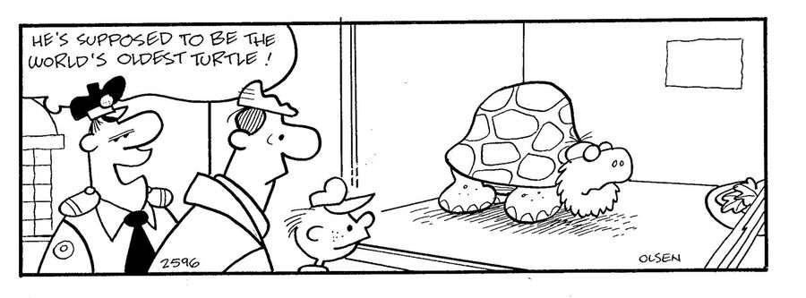 'He's supposed to be the world's oldest turtle!'
