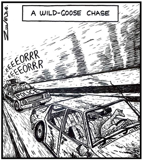 A wild-goose chase (police chasing a real wild-goose driving a car).
