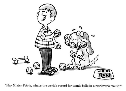 'Hey Mister Petrie, what's the world's record for tennis balls in a retriever's mouth?'