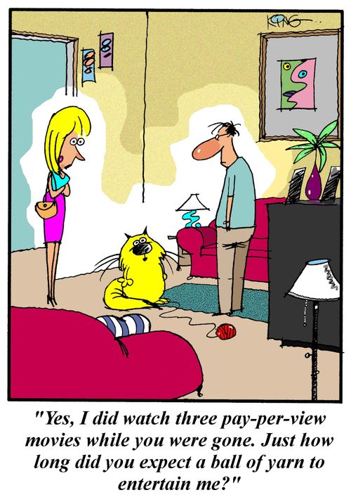 'Yes, I did watch three pay-per-view movies while you were gone.  Just how long did you expect a ball of yarn to entertain me?'