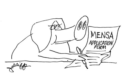 Mensa Application Form.
