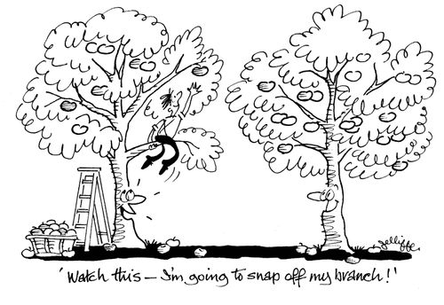'Watch this - I'm going to snap off my branch!'