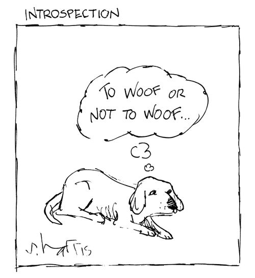 Introspection (To woof or not to woof...)