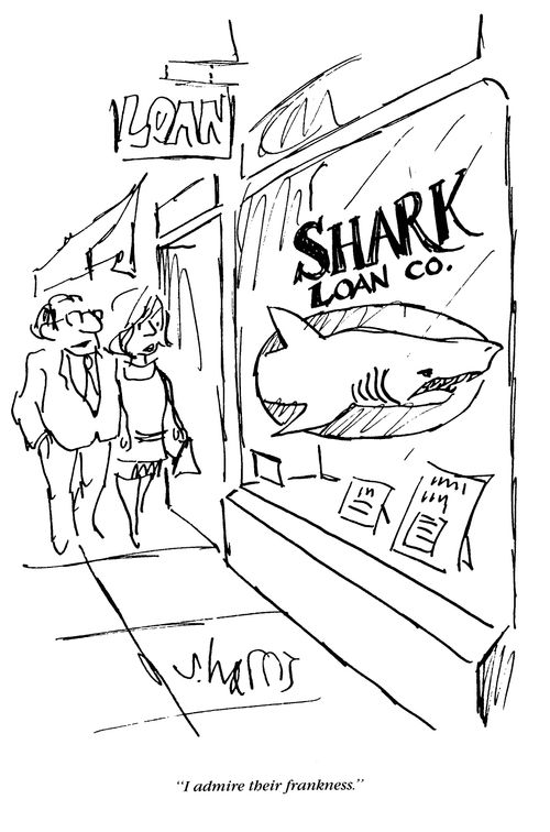 'I admire their frankness' - Shark Loan Co.