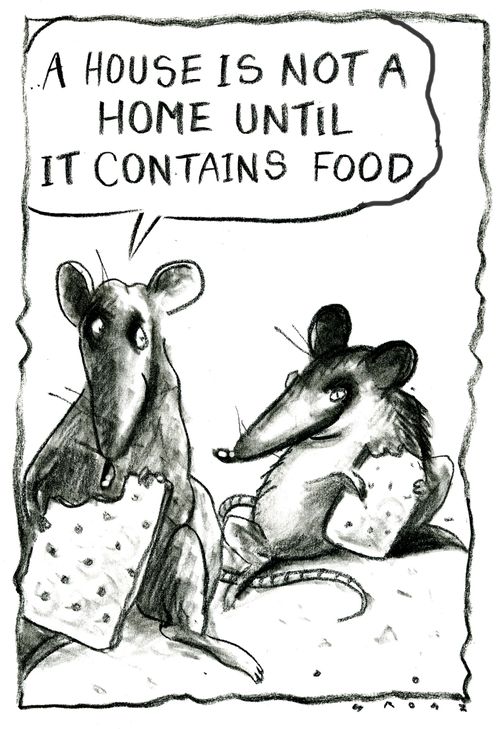 'A house is not a home until it contains food.'