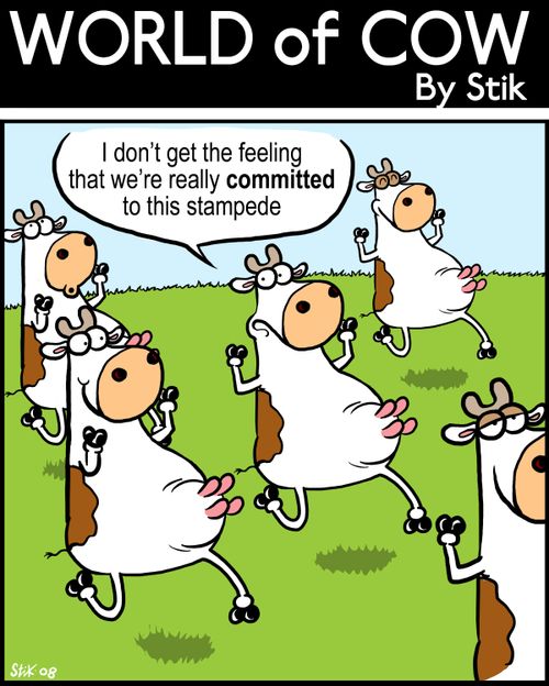 "I don't get the feeling that we're really committed to this stampede.