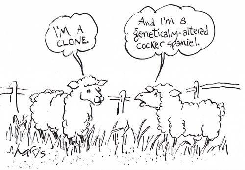 'And I'm a genetically-altered cocker spaniel.'