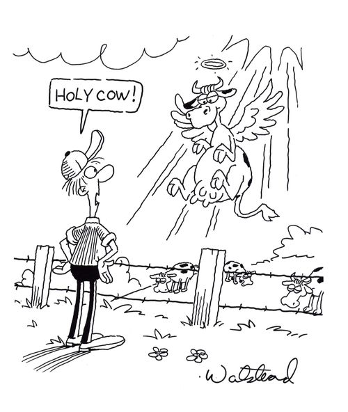 Angelic cow.
