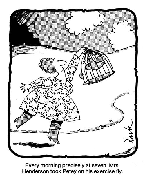'Every morning precisely at seven, Mrs Henderson took Petey out on his exercise fly.'