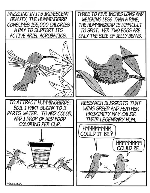 The hummingbird's hum.
