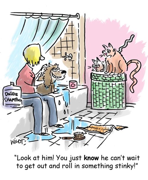 'Look at him! You just know he can't wait to get out and roll in something stinky!'