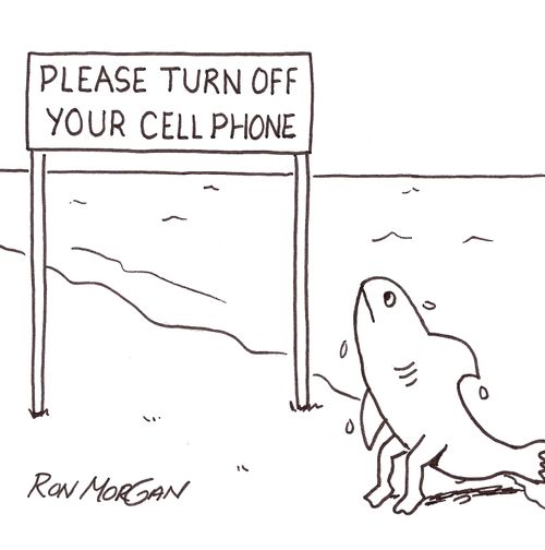 Evolving fish crawls out of ocen and sees sign on beach.