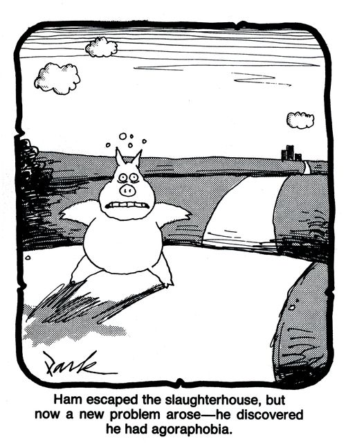 'Ham escaped the slaughterhouse, but now a new problem arose - he discovered he had agoraphobia.'