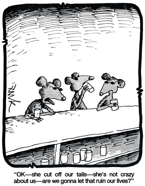 'Ok - she cut off our tails - she's not crazy about us - are we gonna let that ruin our lives?'