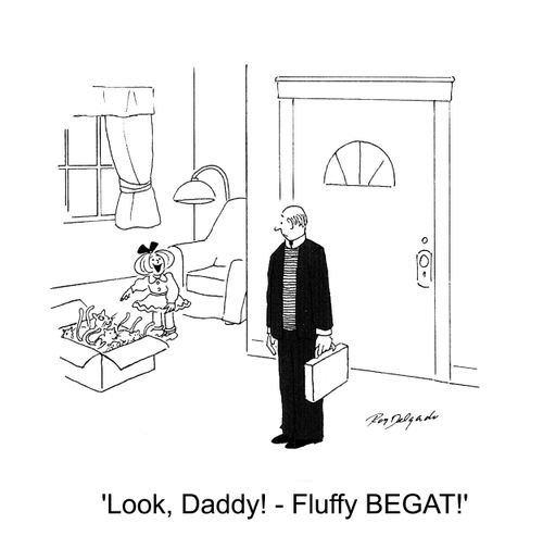 'Look, Daddy! - Fluffy begat!'