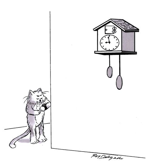 Coo coo clocks make a cats job easier.