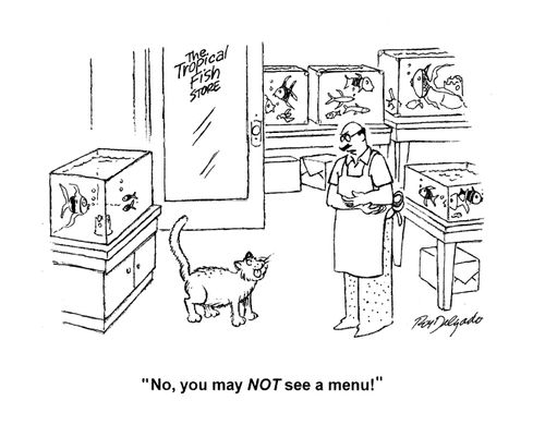 'No, you may NOT see a menu.'